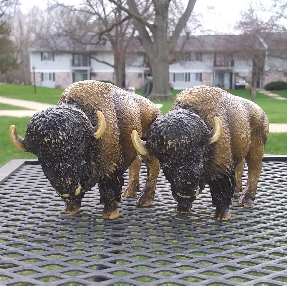 2 Schleich identical buffalo